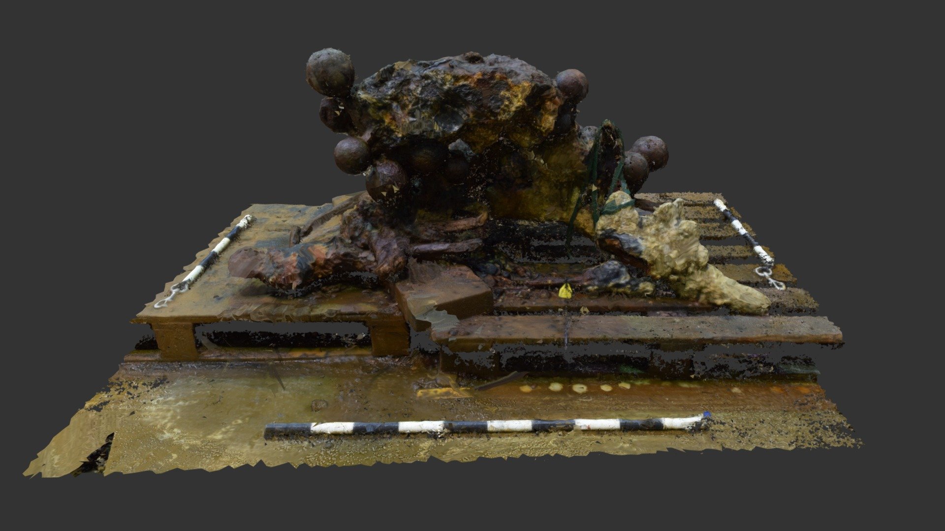 RK17 F00001 Concretion Stage 11