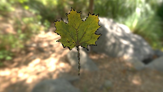 Yellow Green Maple Leaf Object 3D Model