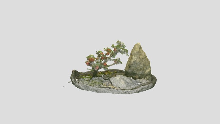 Bonsai_Tree_17 – Free 3D Model STL