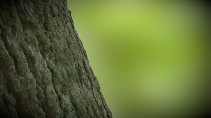 Small bark piece 3D Model