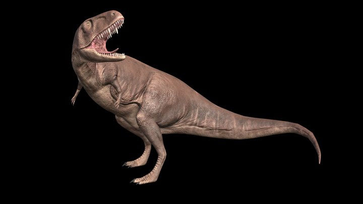 Abelisaurus | Dinosaur 3D Model