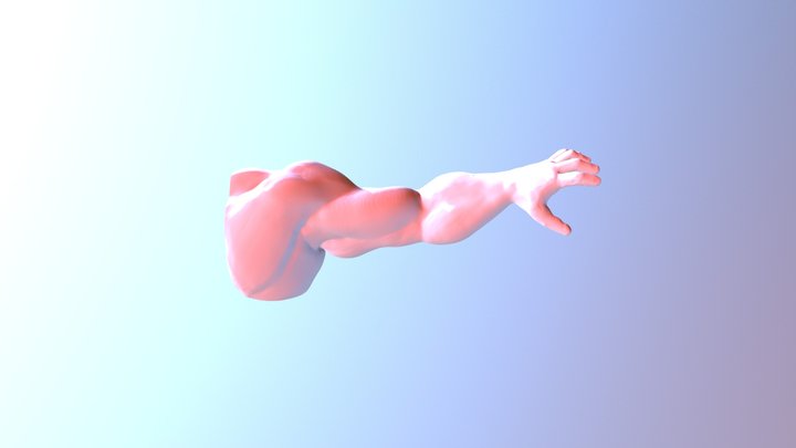 archive 3D Model