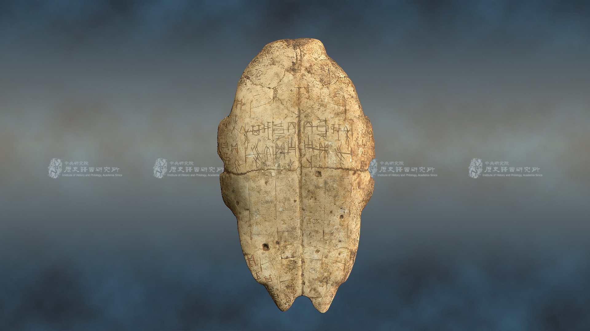帶填硃卜辭龜腹甲 Inscribed Turtle Plastron — Sketchfab embed 3D viewer