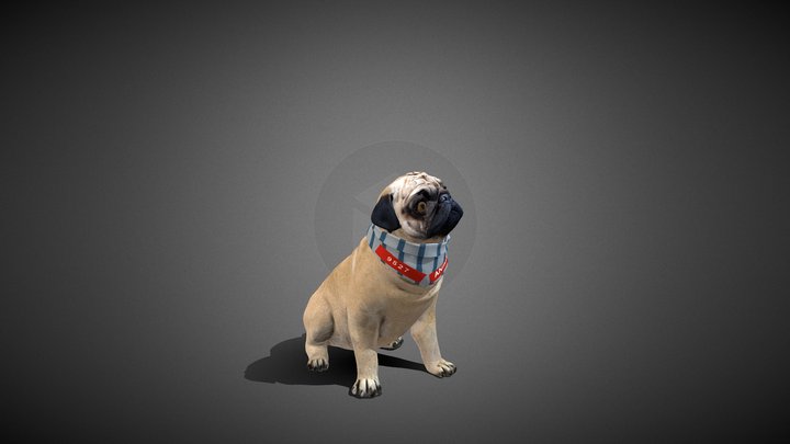 A pug – Modello 3D gratuito STL
