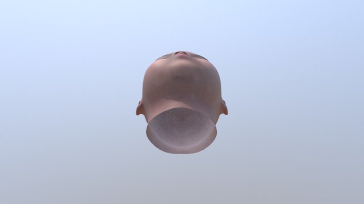 Sometin 3D Model
