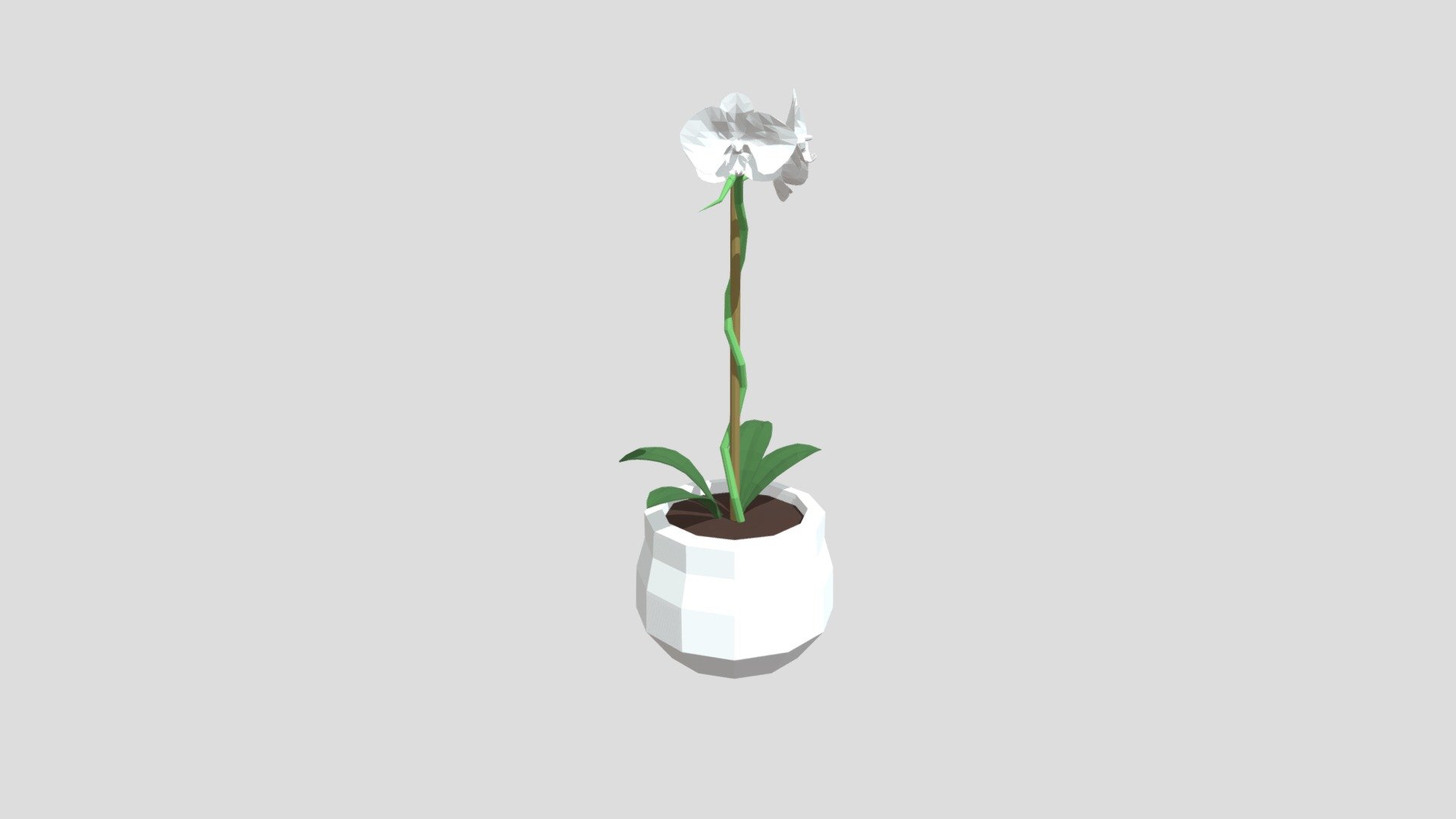 Orchid from Poly by Google