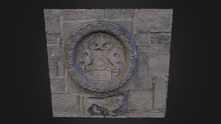 Coat of Arms (Lynch). Lynch's Castle Galway 3D Model