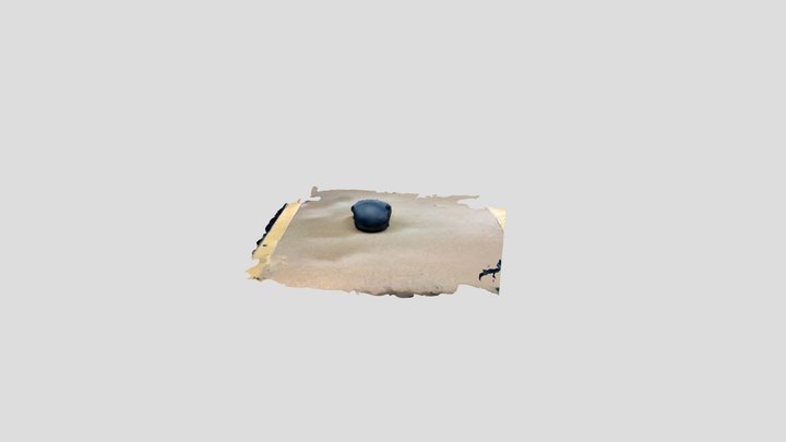Mouse 3D Model