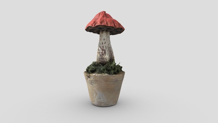 Mushroom deco 3D Model