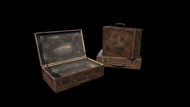 Old case 3D Model