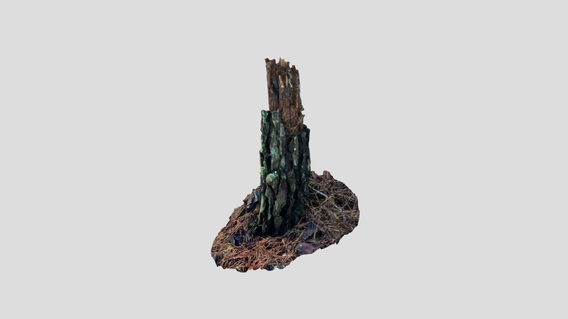 Pine tree stump - Download Free 3D model by HalfLapJoint [9fcd4ab ...