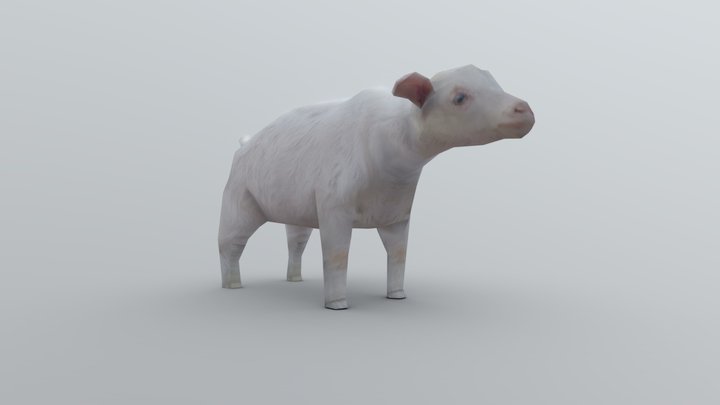 Baby Goat Low Poly – Free 3D Model STL