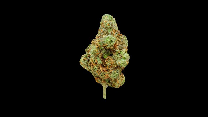 PUC — Cannabis Model 3D Model