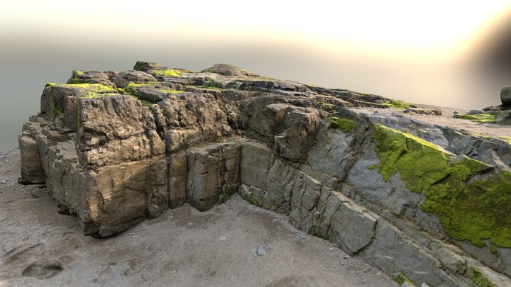 Mossy rock at rocky beach scan (II) 3D Model