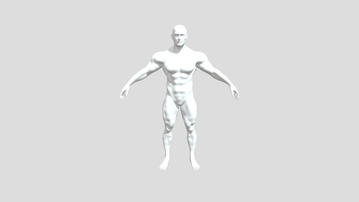 肖像 3D Model