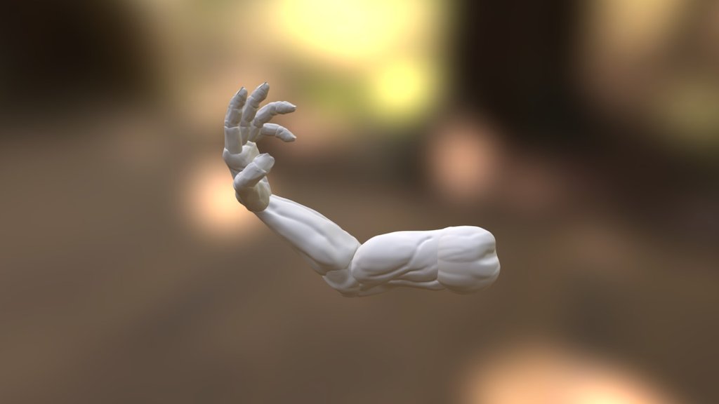 Arm Download Free 3D model by Mustafa.Shakarchi [9fd79ff] Sketchfab