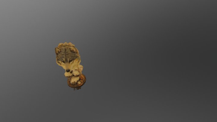 Wolf 3D Model