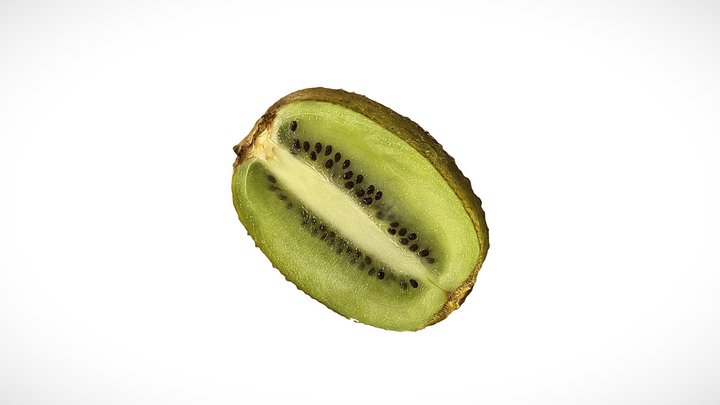 Kiwi 3D Model