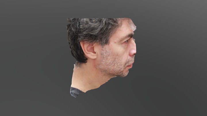 Retrato Primer Plano (media cara) 3D Model