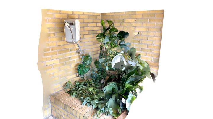 S005_IndoorPlants 3D Model
