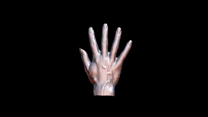 Hand by Thunk3D Fisher 3D Model