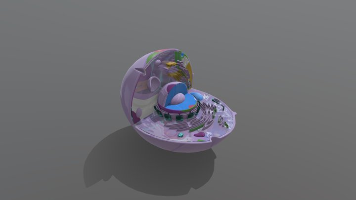 Cellula animale 3D Model