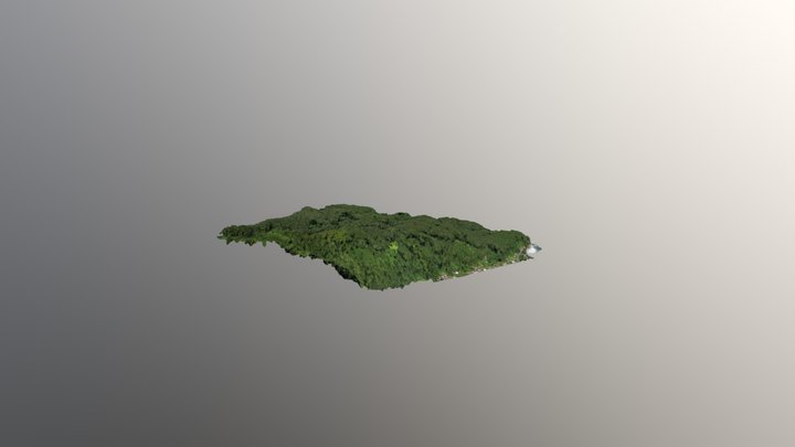 Nivee 3D Model