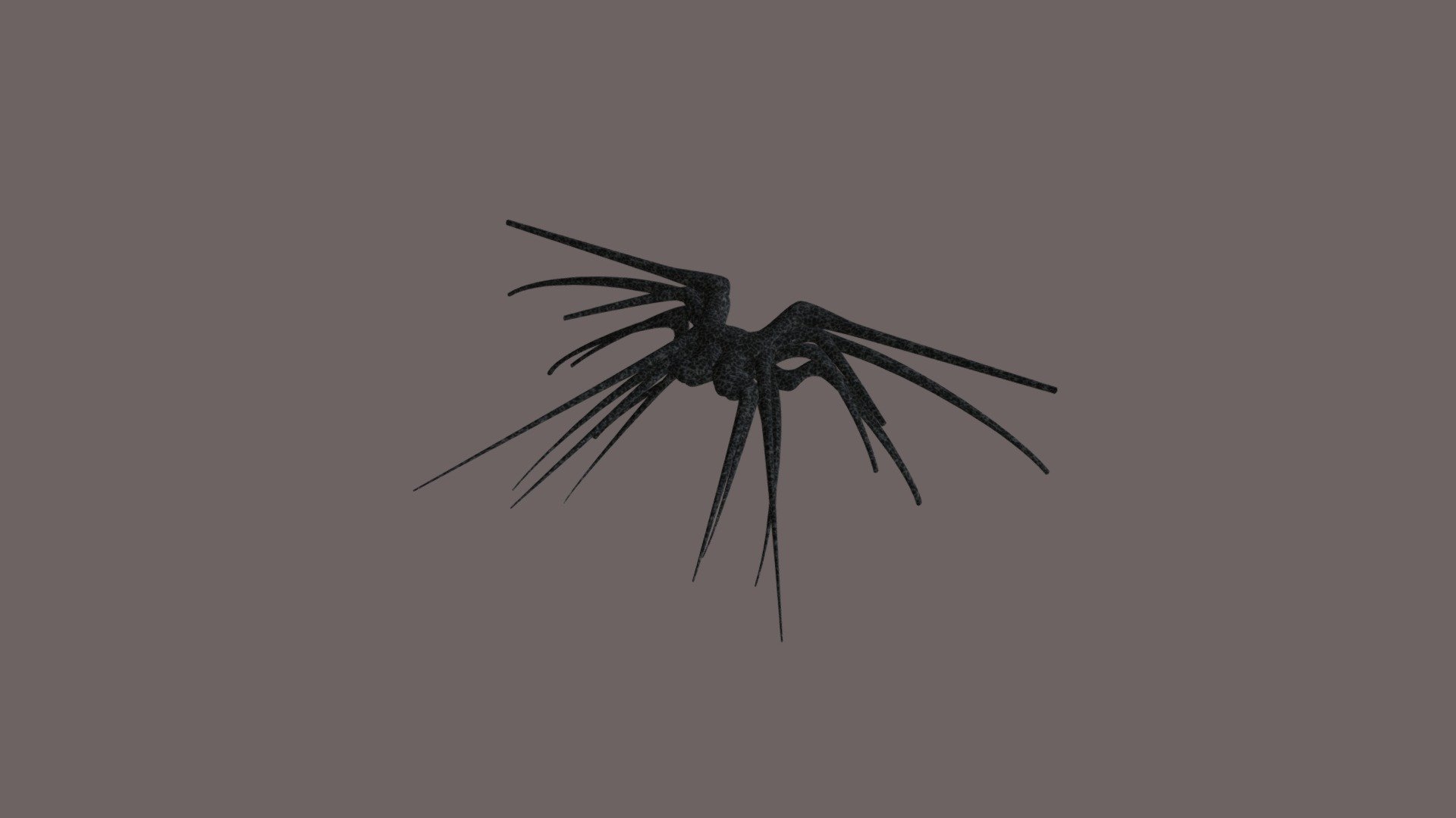Shadow Crab