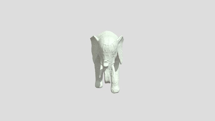 La mémoire de l'éléphant 3D Model