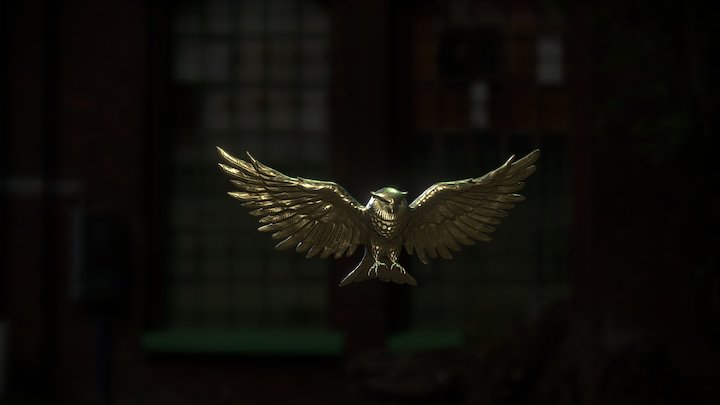 Bird 3D Model