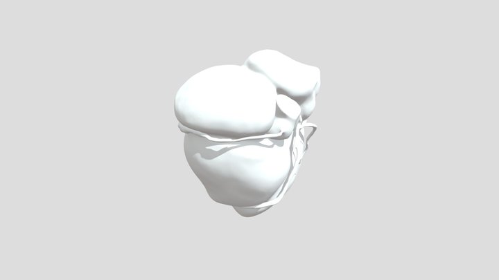 Coração 3D Model