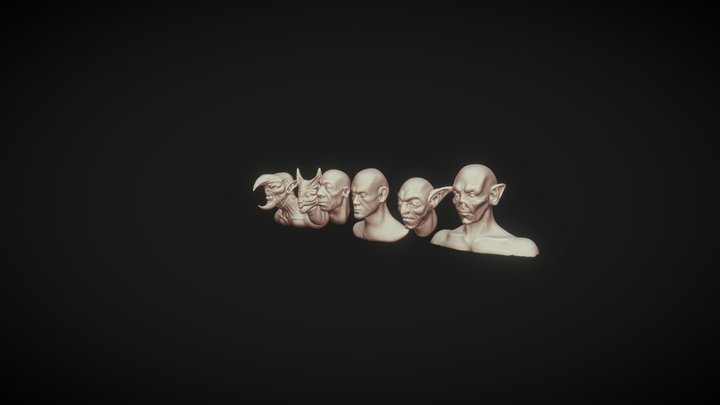 Practice Sculpts 3D Model