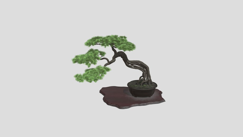 Cascade Bonsai