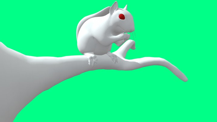 Squirrel Low-poly CULTZONEGames Free low-poly 3D 3D Model