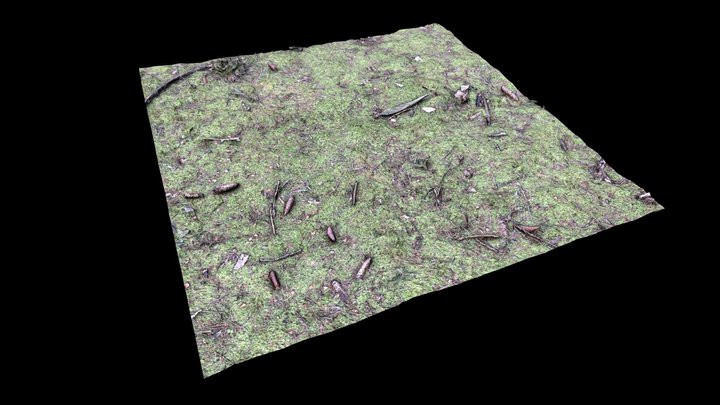 Moss in the forest square 2k – Gratis 3D-model STL