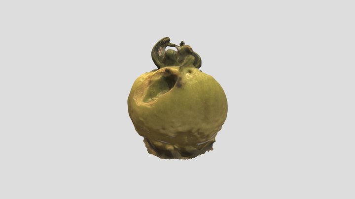 greentomato 3D Model