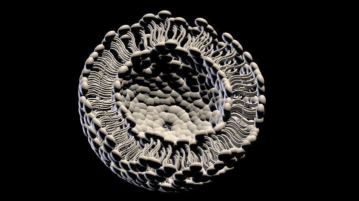 Membrane vesicle 3D Model