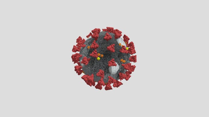 Covid-19 3D Model