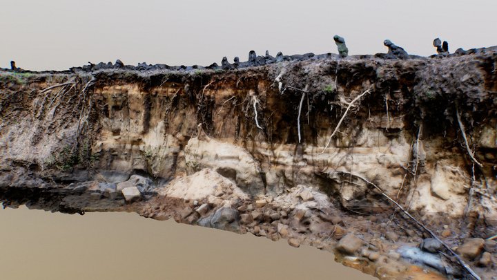 Soil Exposure at Umstead Park 3D Model