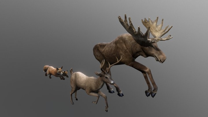 Fox, Deer, Moose RUN ANIMATION. 3D Model