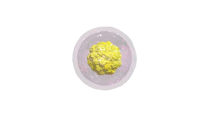 Cell  structure 3D Model