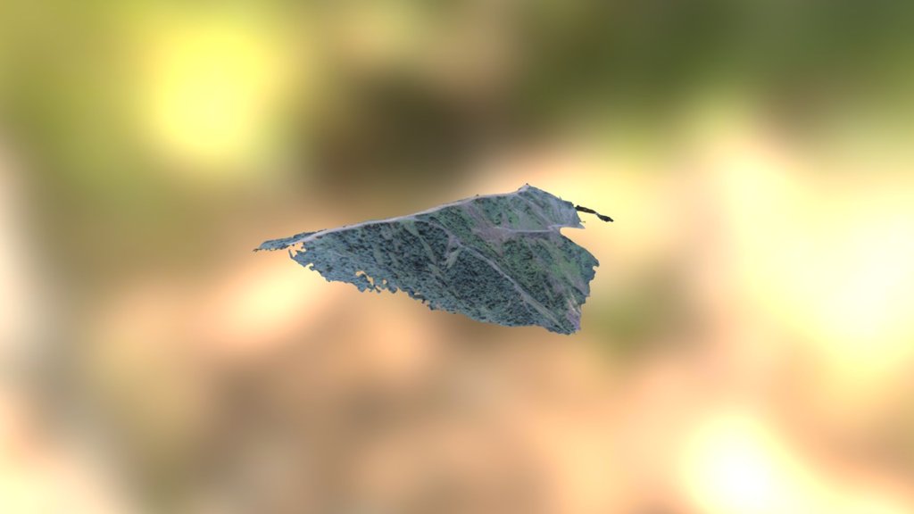 23092016 Simplified 3d Mesh