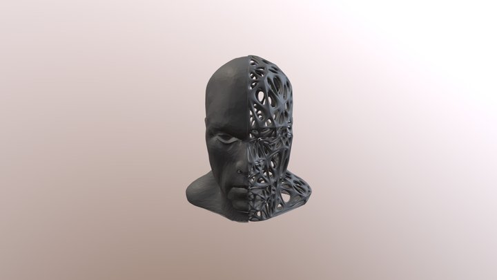 Male Split-Voronoi Head 3D Model