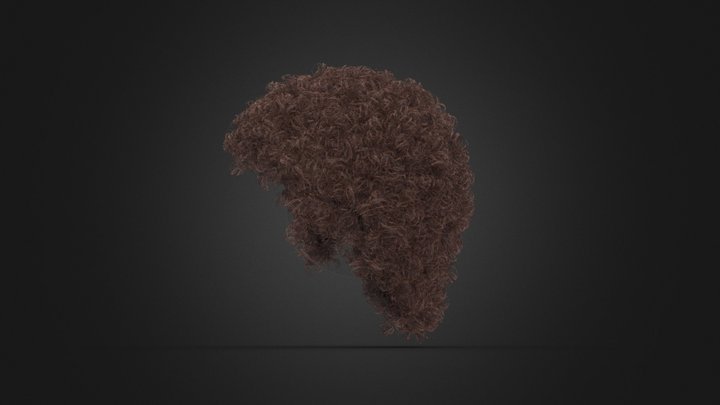 Realistic Thick Curly Hairs v7 3D Model