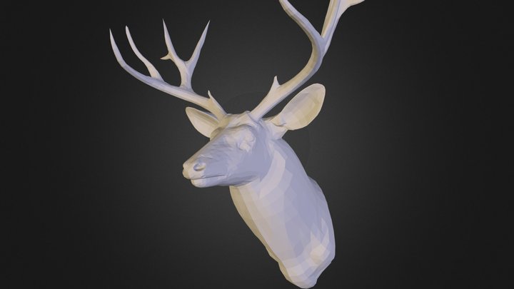 deer head.obj 3D Model