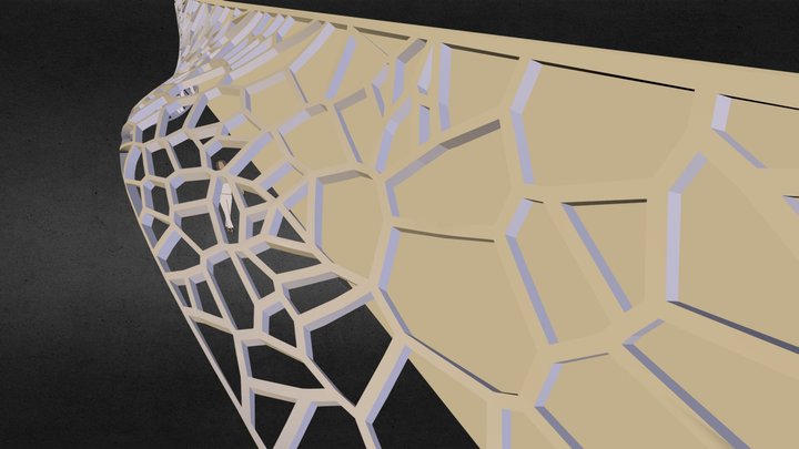 Nappe Voronoi 3D Model