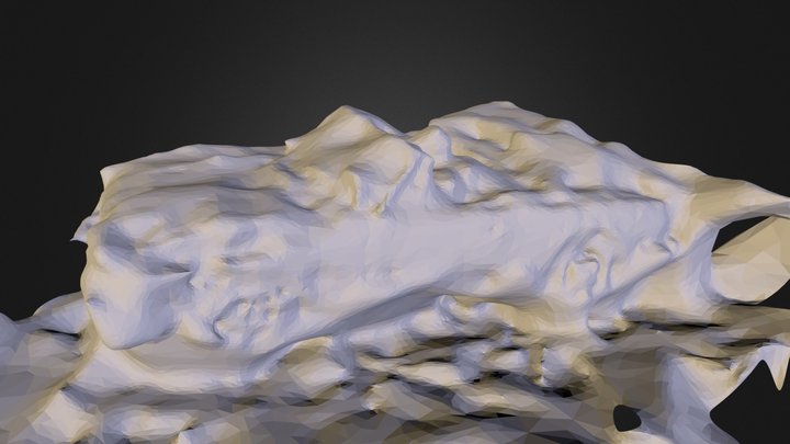 Capture20121122221921.stl 3D Model