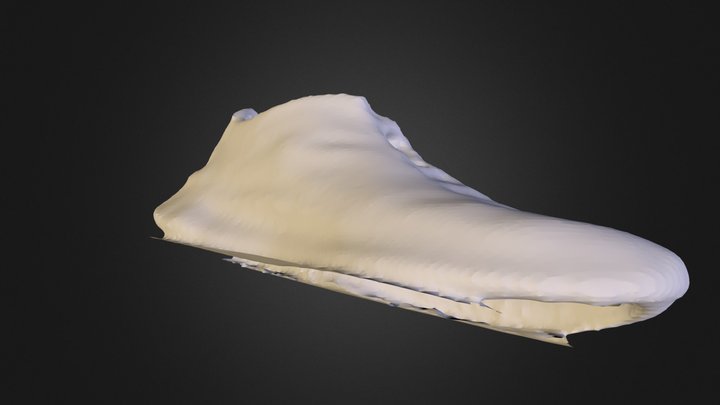 Test scan 3D Model