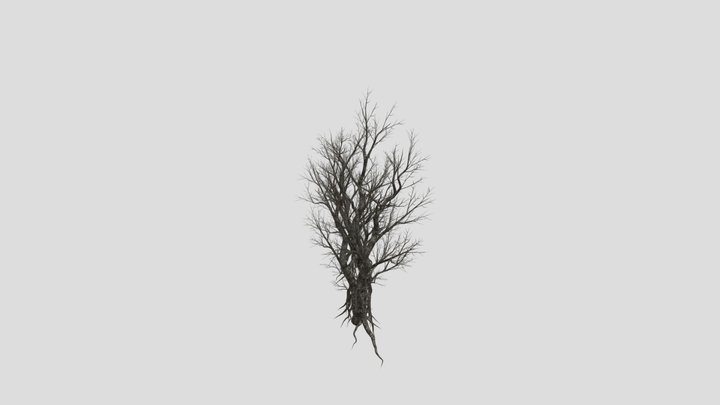 Dead tree 3D Model