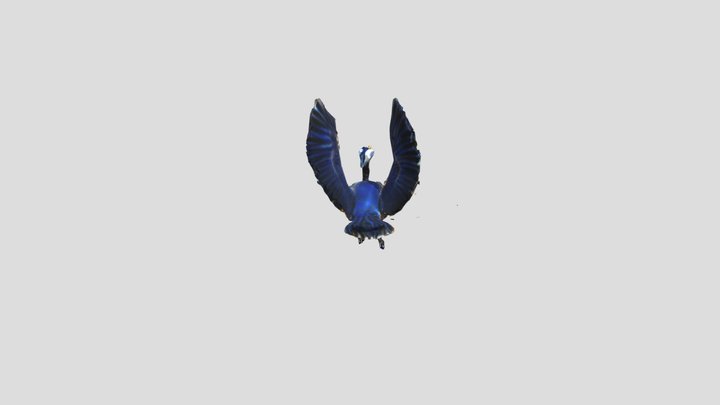 heron volando gaviota 3D Model